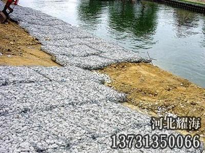 雷諾護墊